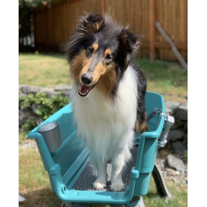 Booster Bath nagy méretű hordozható kutya fürdető kád - türkiz/szürke Booster Bath nagy méretű hordozható kutya fürdető kád - türkiz/szürke