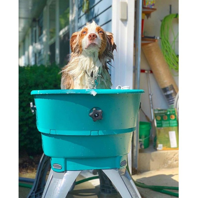 Booster Bath nagy méretű hordozható kutya fürdető kád - türkiz/szürke Booster Bath nagy méretű hordozható kutya fürdető kád - türkiz/szürke