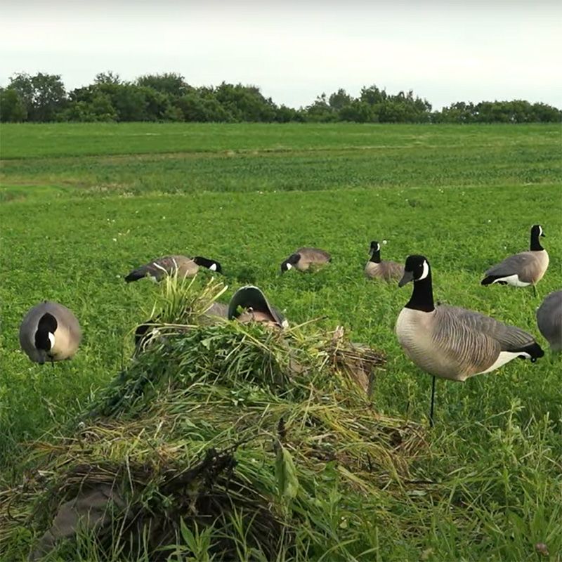 Tanglefree GroundGhost rejtekhely, víz- és szélálló kültéri pihenőhely, RealTree Max4 terepmintával Tanglefree GroundGhost rejtekhely, víz- és szélálló kültéri pihenőhely, RealTree Max4 terepmintával