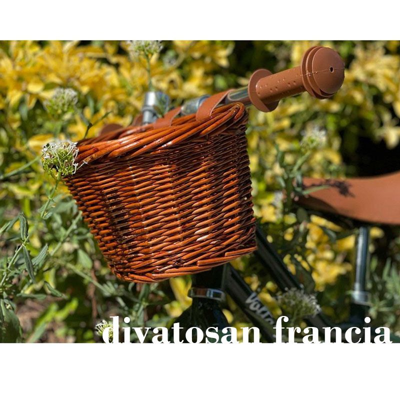 Voltaire Draisienne futóbicikli, kosárral - zöld Voltaire Draisienne futóbicikli, kosárral - zöld